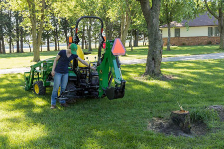 How to Remove a Tree Stump Image